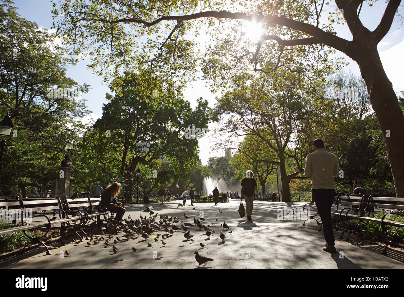 Die Menschen gehen in Washington Square Park, New York. Ein unbekannter Mann füttert Tauben, wenn die Sonne aufgeht Stockfoto