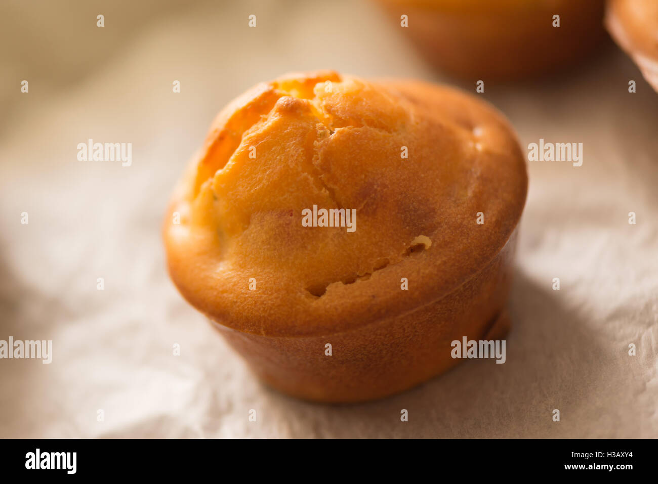 Hausgemachte Proja Cupcakes, selektiven Fokus - traditionelles Gebäck Stockfoto