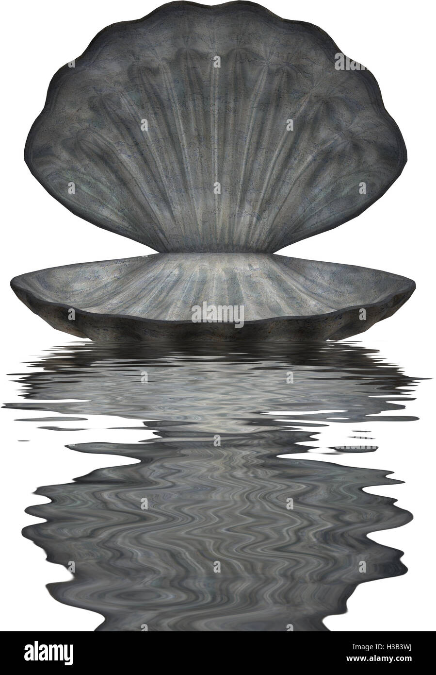 Große Muschel im Wasser Stockfoto