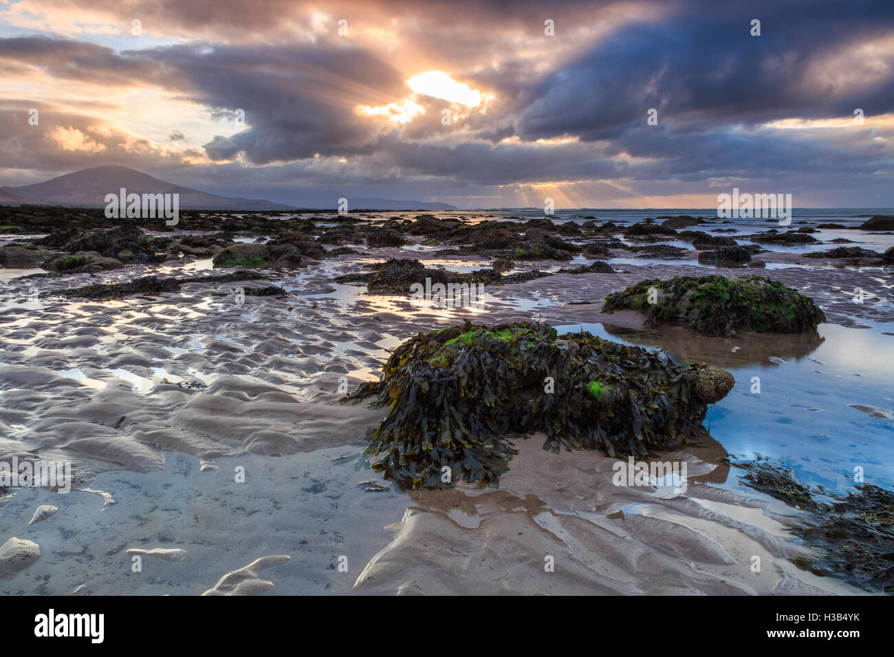 Bewölktem Himmel bei Sonnenuntergang auf Derrymore Strand auf der Halbinsel Dingle in der Grafschaft Kerry, Irland. Stockfoto