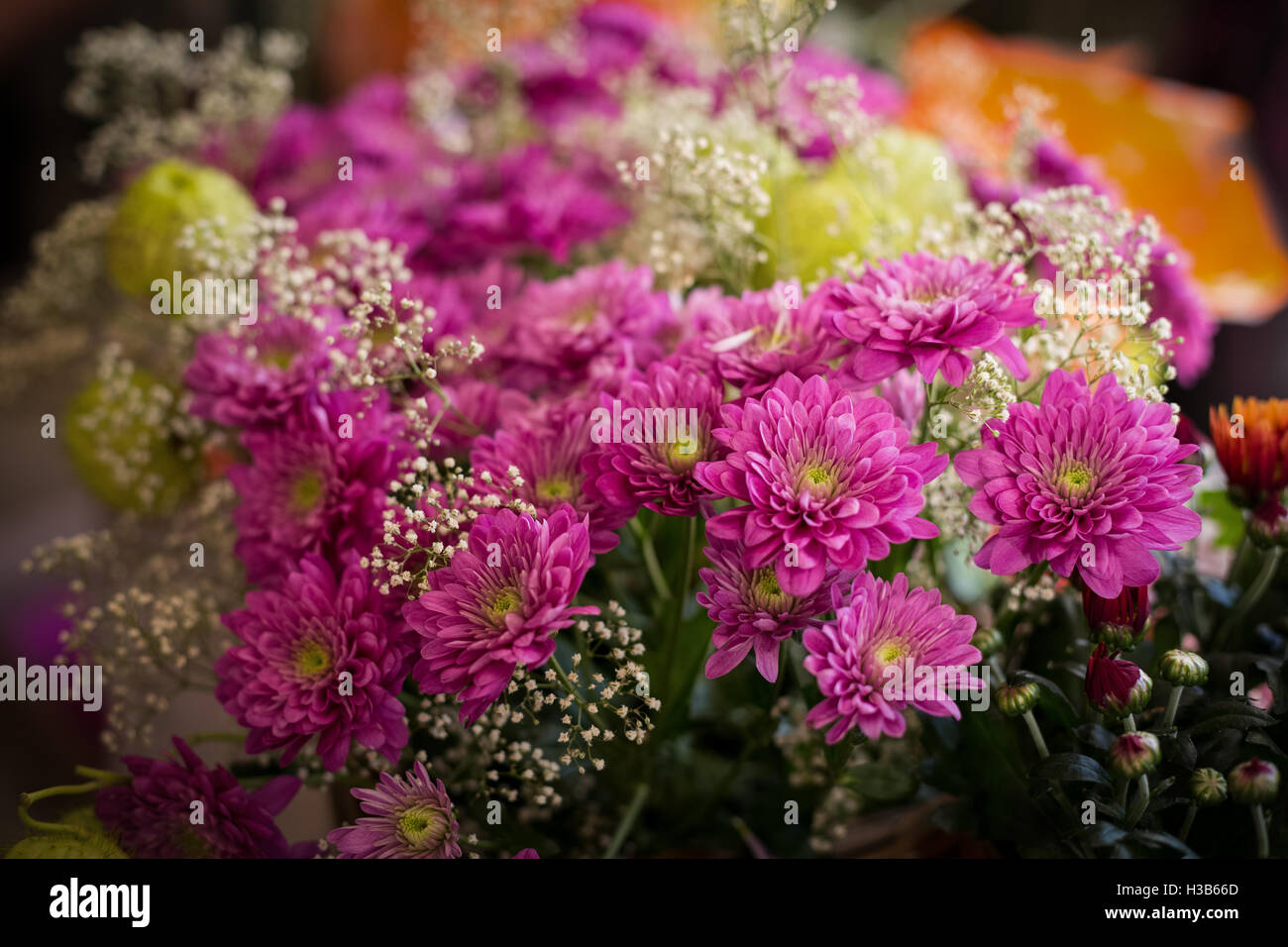 Blumen im Blumenladen Stockfoto