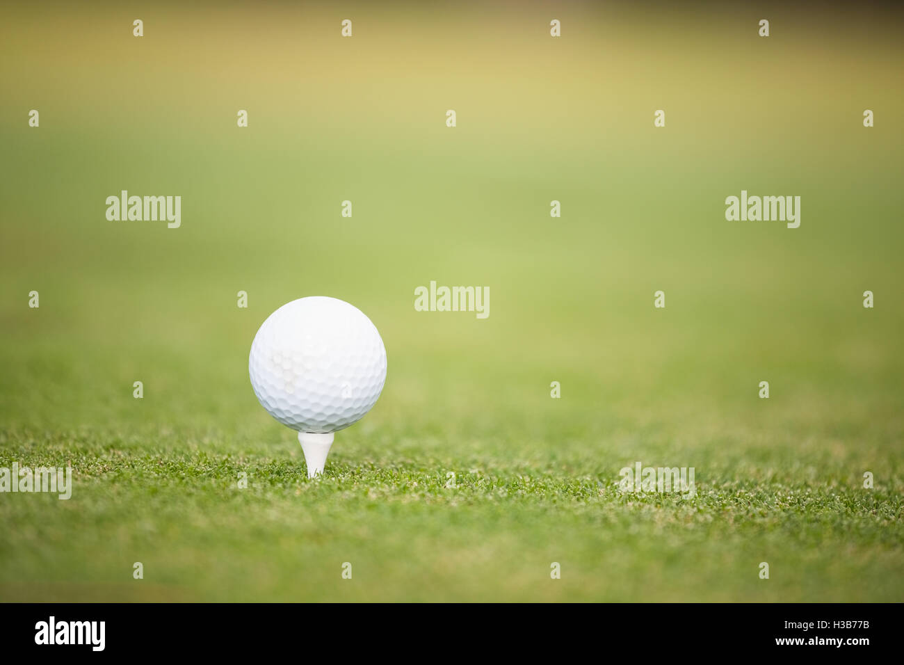 Nahaufnahme eines Golfballs Stockfoto