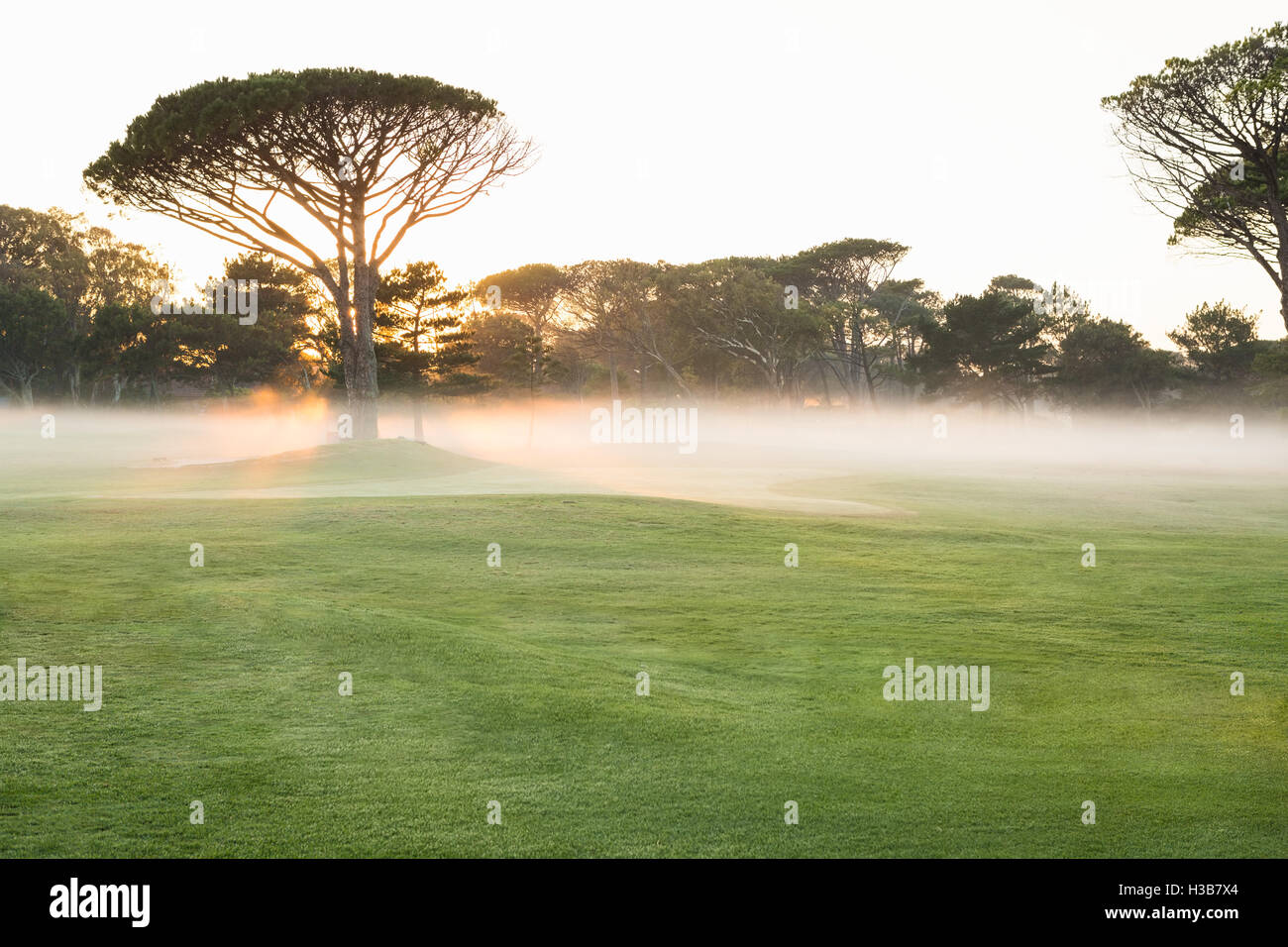 Bild eines Golfplatzes Stockfoto