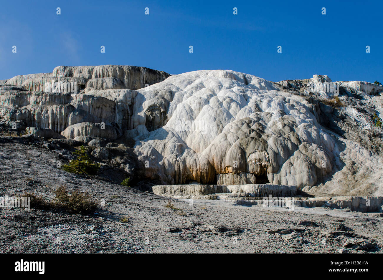 Mammoth Hot Springs Terrassen Yellowstone-Nationalpark, Wyoming, USA. Stockfoto