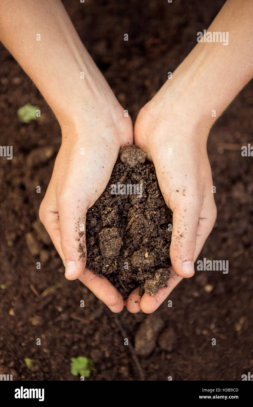 Draufsicht der Gärtner hält Schmutz im Garten Stockfoto