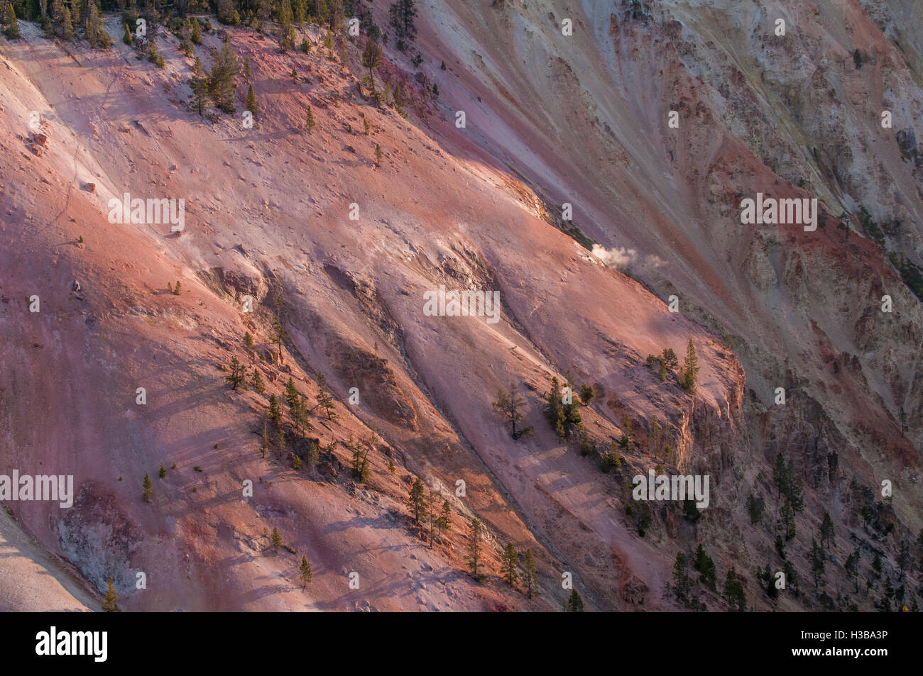 Geysir in der Grand Canyon von Yellowstone, Yellowstone-Nationalpark, Wyoming, USA. Stockfoto