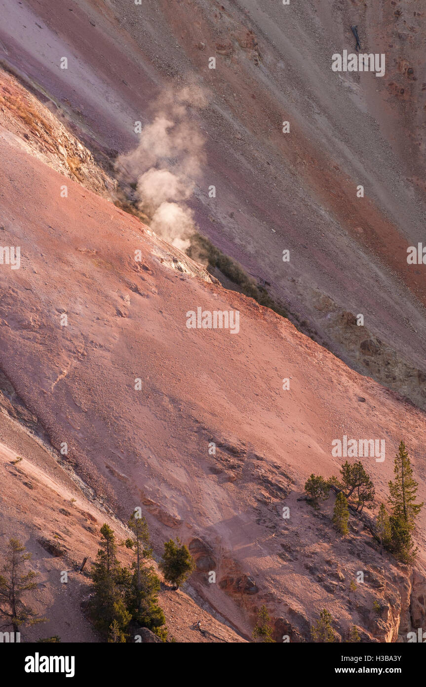 Geysir in der Grand Canyon von Yellowstone, Yellowstone-Nationalpark, Wyoming, USA. Stockfoto