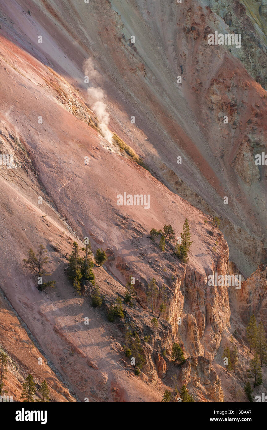 Geysir in der Grand Canyon von Yellowstone, Yellowstone-Nationalpark, Wyoming, USA. Stockfoto