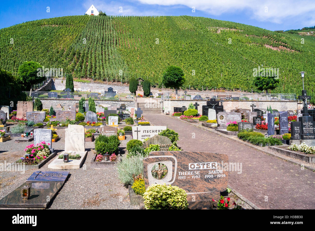 Ürzig Friedhof unter Ürziger Würzgarten Weinberg, Mosel River, Rheinland-Pfalz, Deutschland Stockfoto