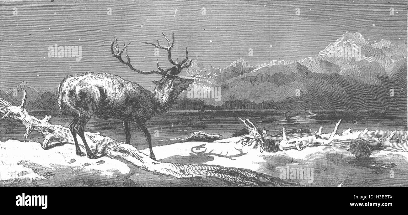 Hirsche, die kommenden Ereignisse werfen ihre Schatten vor ihnen 1844. Der illustrierte London News Stockfoto