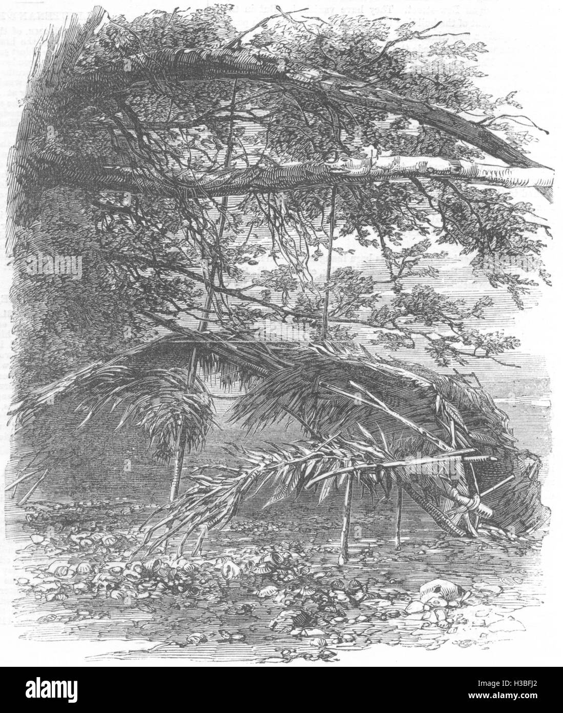 Indien-Hütte der Andaman Inselbewohner 1858. Der illustrierte London News Stockfoto