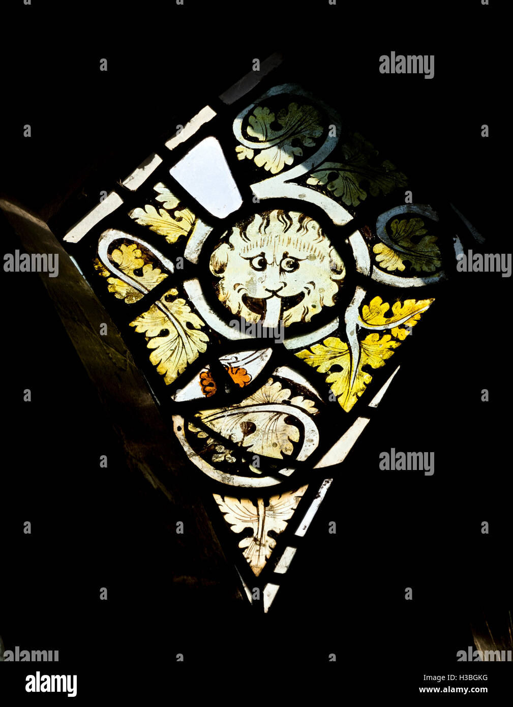 Mittelalterliche Glasmalerei, All Saints Church, Seckington, Warwickshire, England, UK Stockfoto