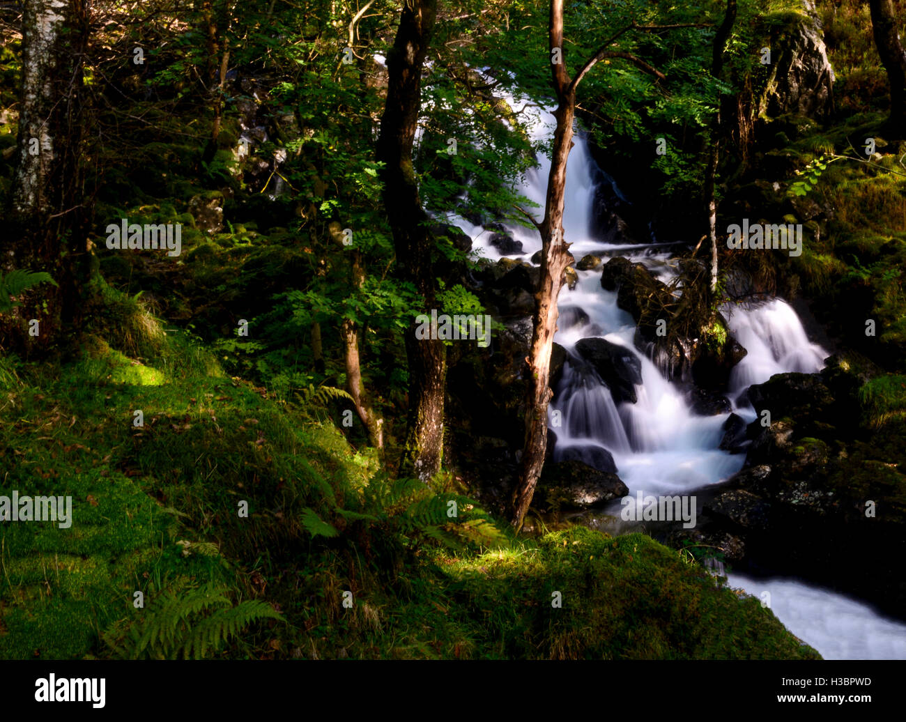 Langzeitbelichtung Foto eines Wasserfalls auf Cadair Idris Bergkette in Snowdonia-Nationalpark in Wales, UK Stockfoto