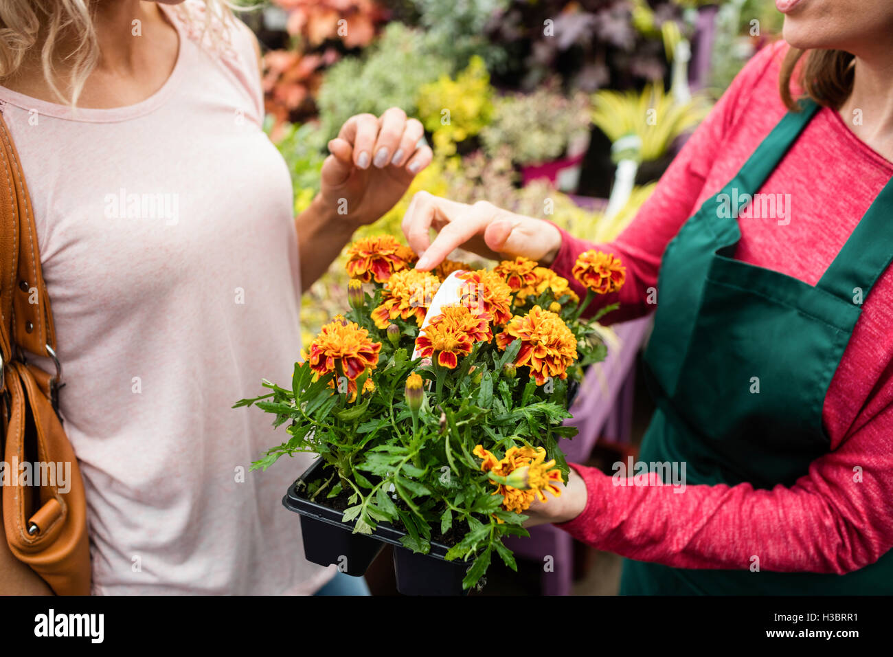 Mittelteil der Florist im Gespräch mit Frau im Gartencenter Stockfoto
