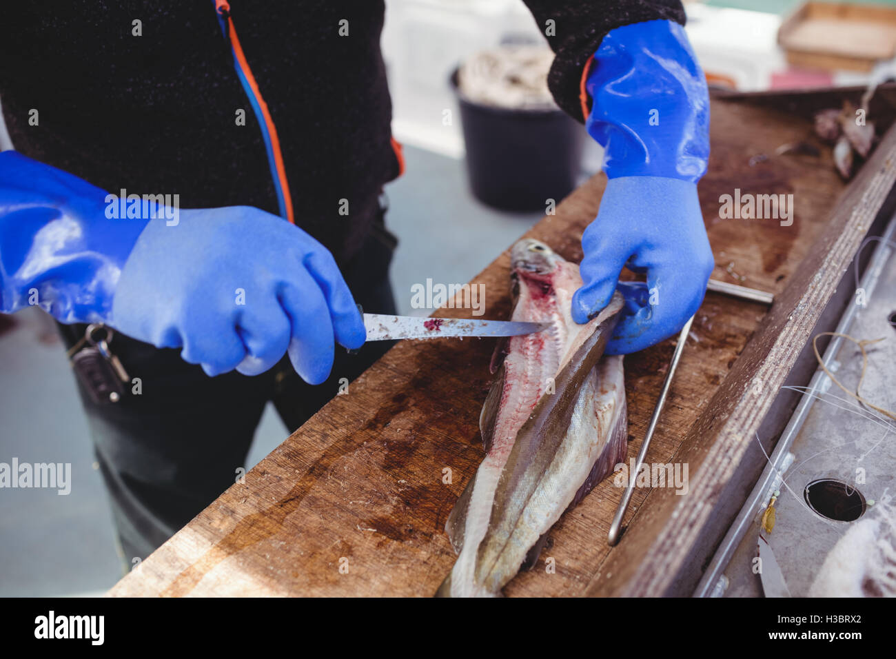 Filetieren Fisch Fischer Stockfoto