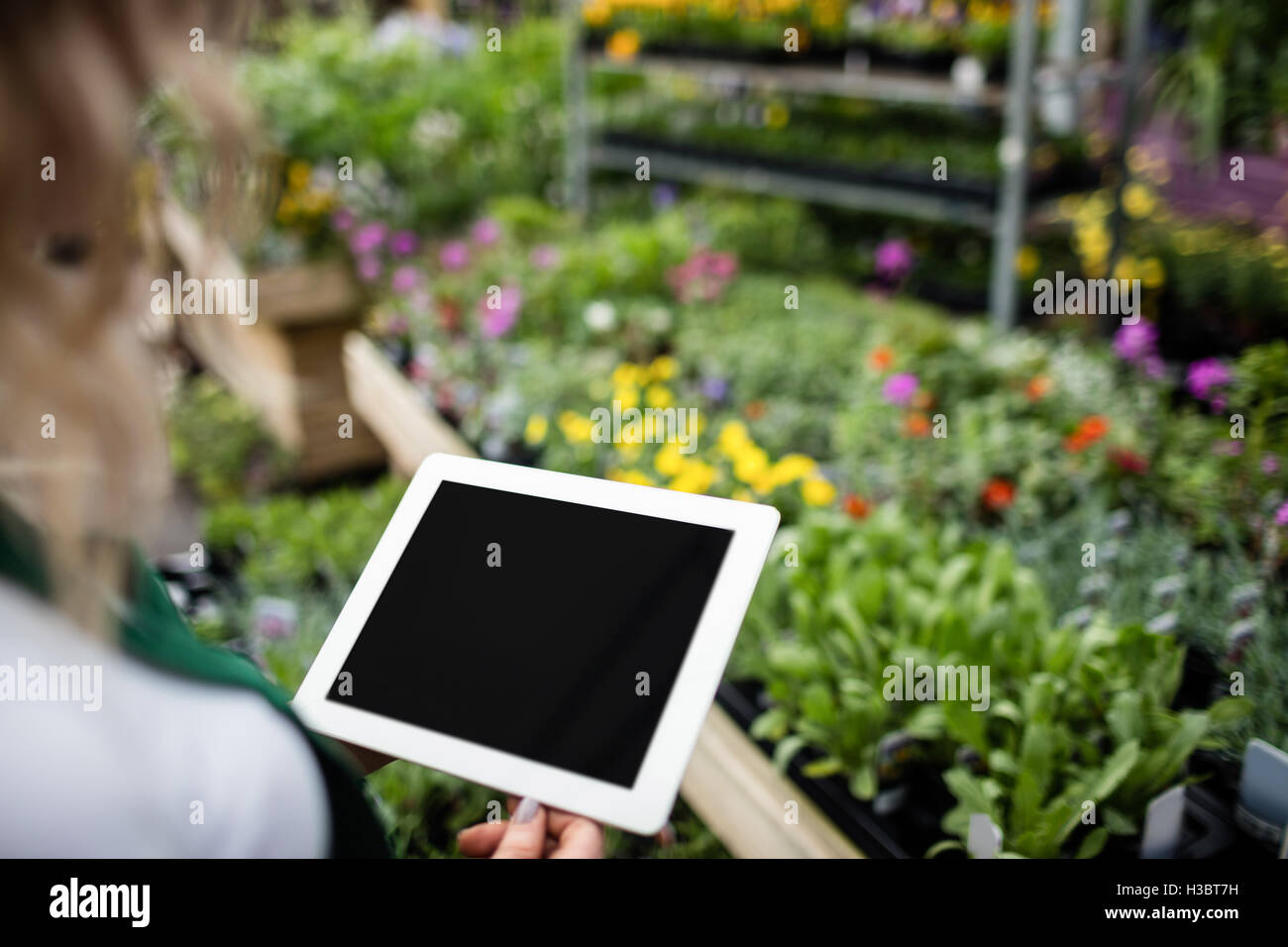 Weibliche Floristen mit digital-Tablette Stockfoto