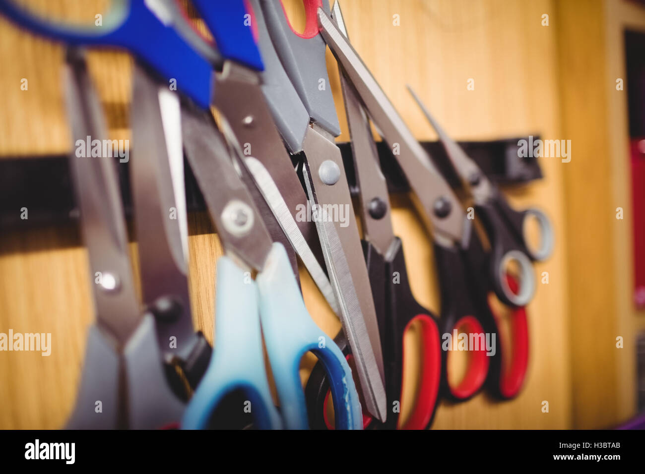 Schere im studio Stockfoto