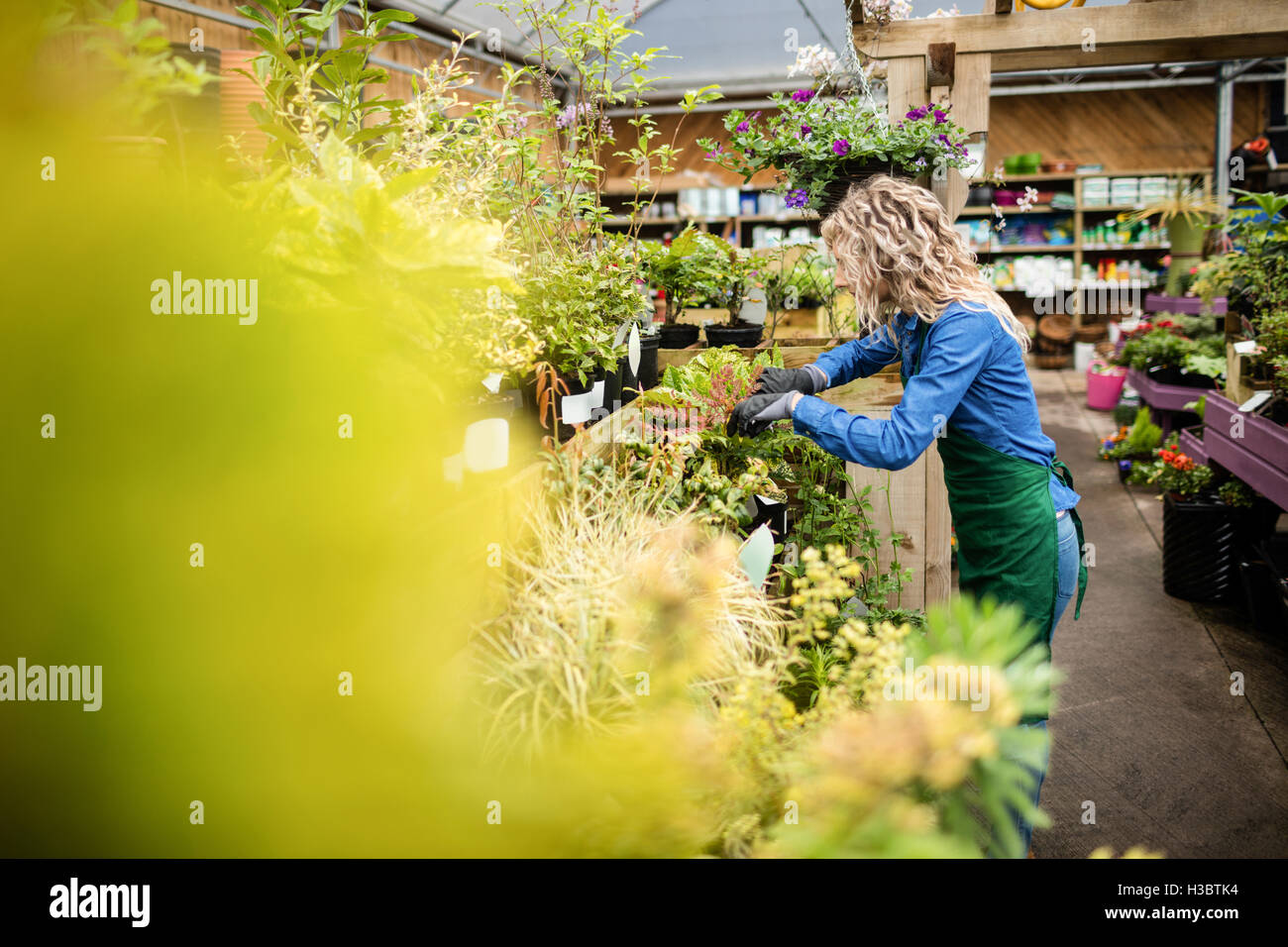 Schöne Frau Überprüfung Topfpflanze Stockfoto