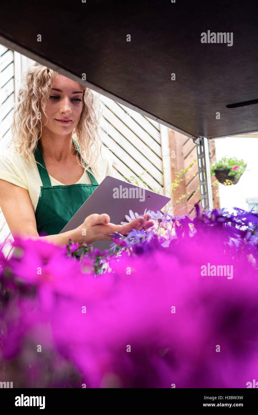 Weibliche Blumengeschäft Blumen überprüfen Stockfoto