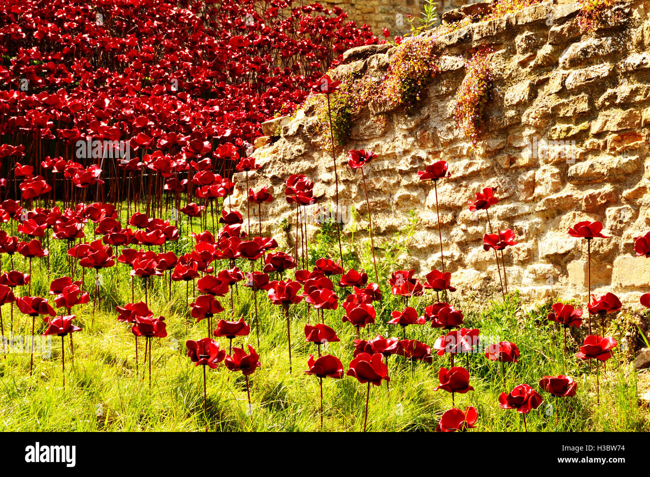 Memorial Mohn am Lincoln Castle Stockfoto