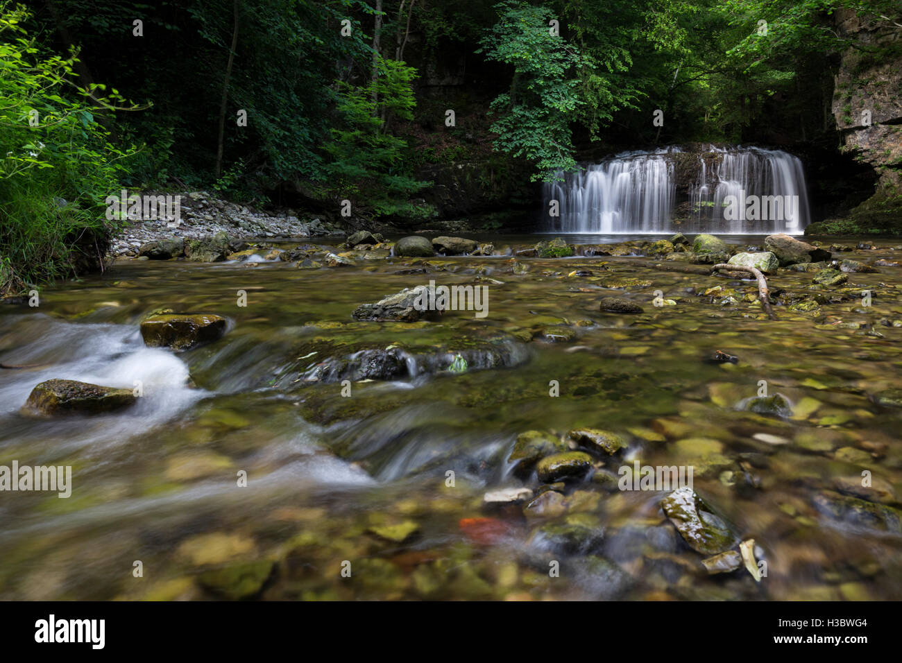 Die Ferrera Wasserfall im Frühjahr Hochwasser Ferrera di Varese, Lombardei, Italien. Stockfoto