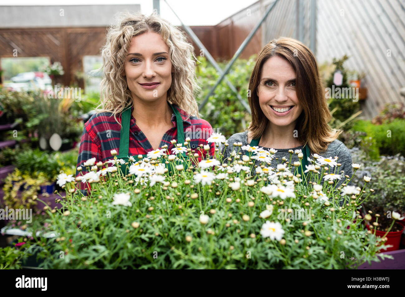 Weibliche Floristen stehen zusammen im Garten-center Stockfoto