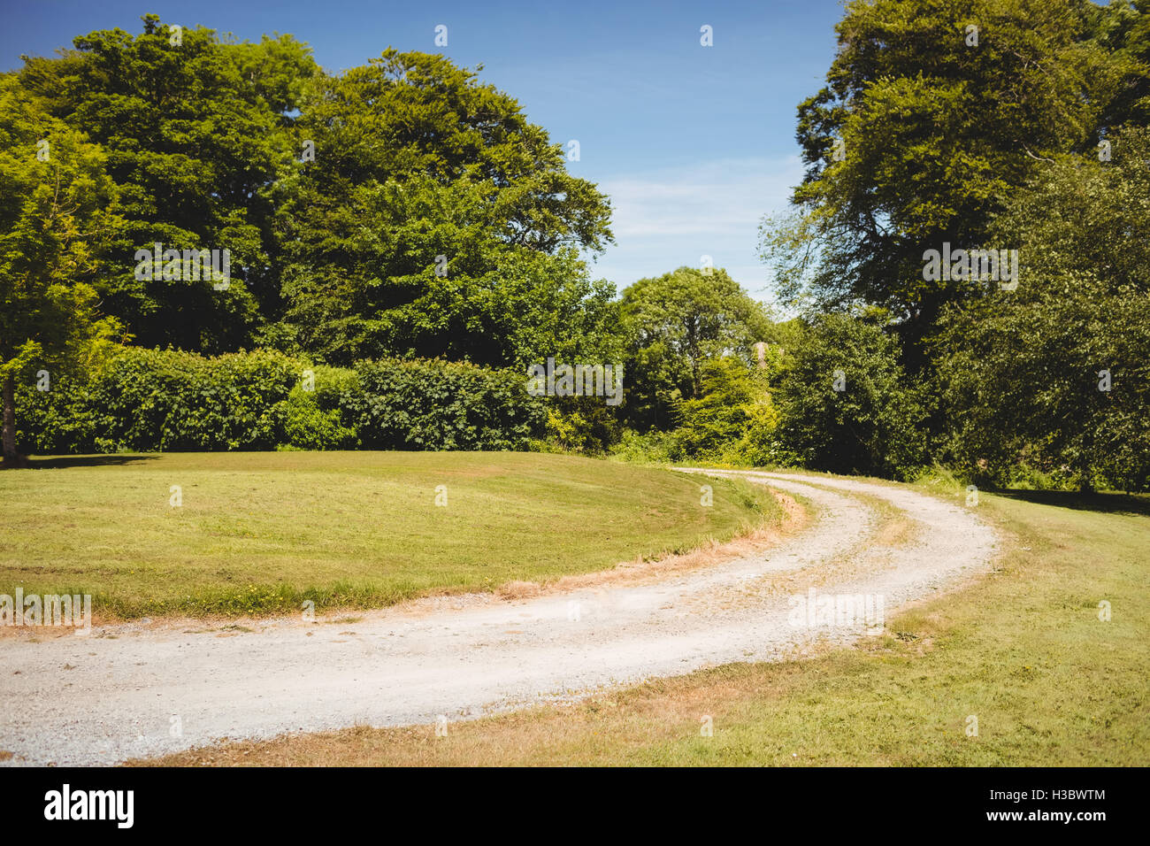 Blick auf Feldweg in Landschaft Stockfoto