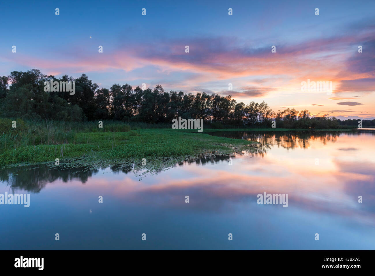 Ein Sommer Sonnenuntergang Nachdenken über Lago di Varese in der Nähe von Capolago, der Provinz Varese, Lombardei, Italien. Stockfoto