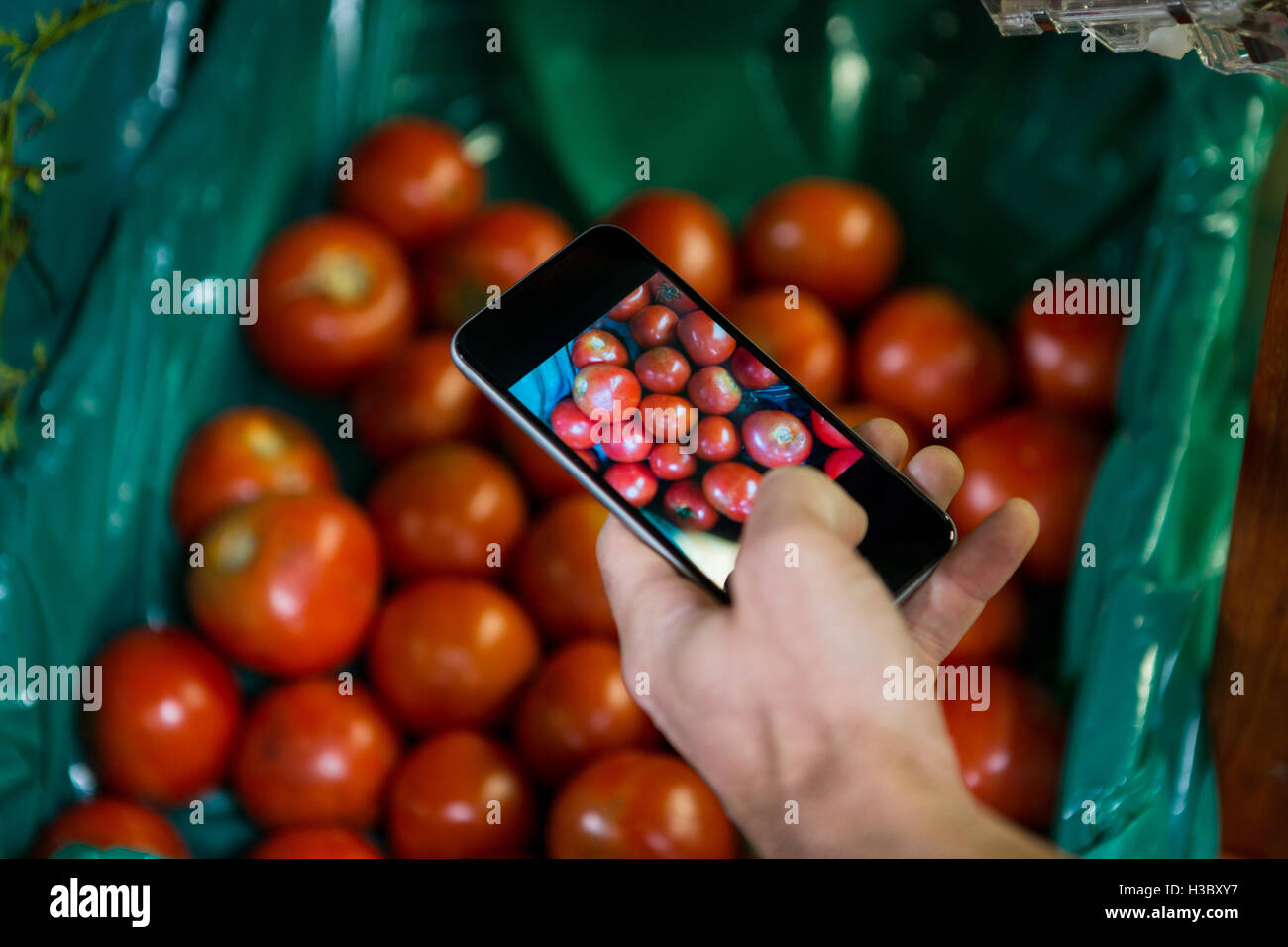 Aufnahme eines Fotos von Tomaten im Display im organischen Bereich Hand Stockfoto