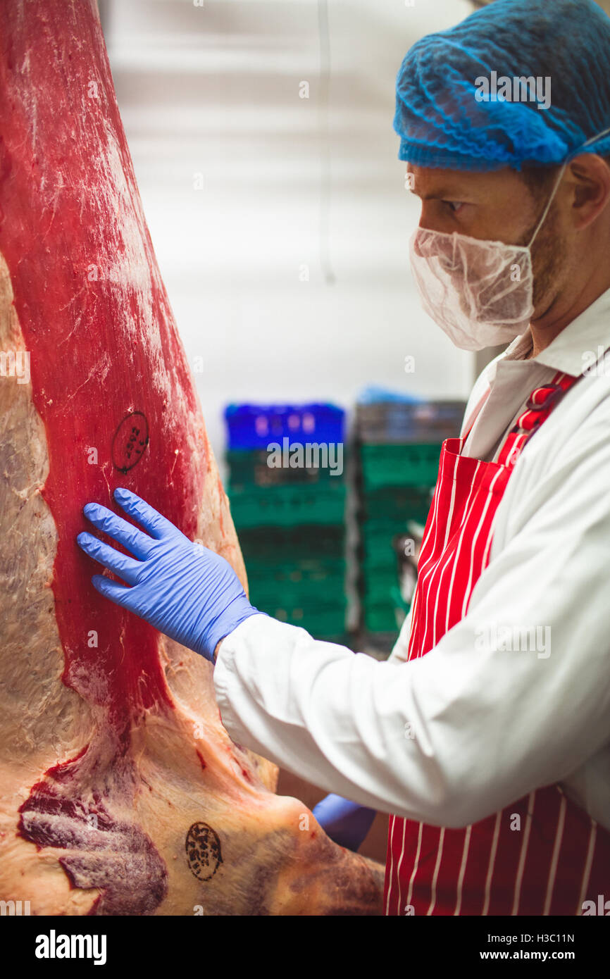 Metzger Hand berühren rotes Fleisch im Lagerraum Stockfoto