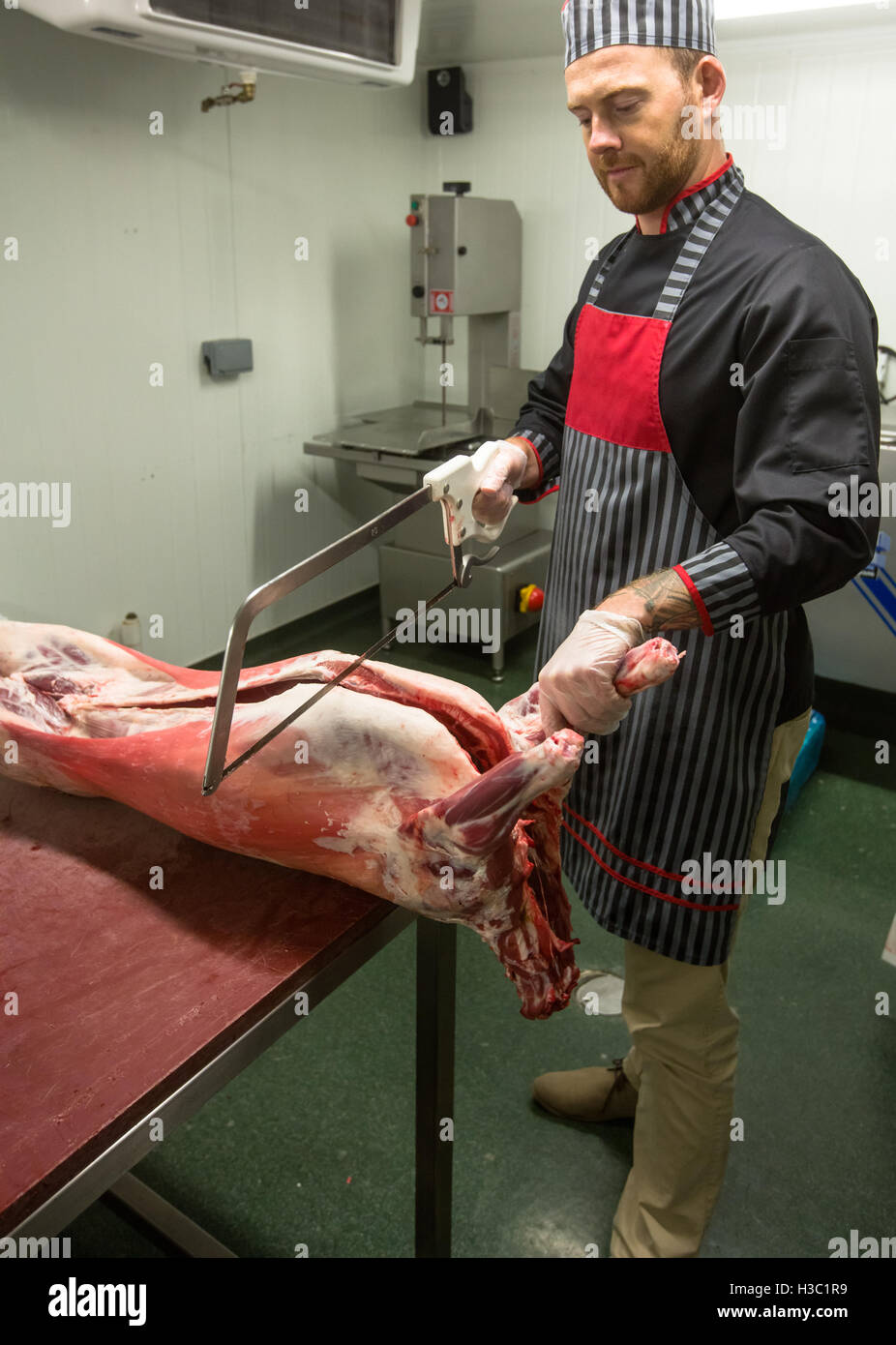 Fleischer Schweine Schneidkopf mit einer Säge Stockfoto