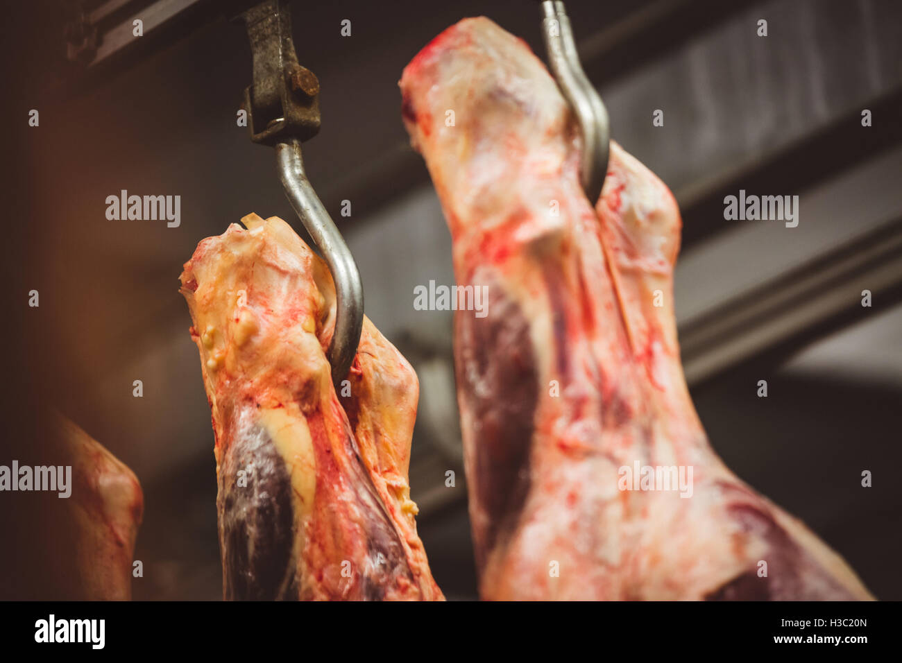 Nahaufnahme von geschälten rotes Fleisch hängen in den Lagerraum Stockfoto