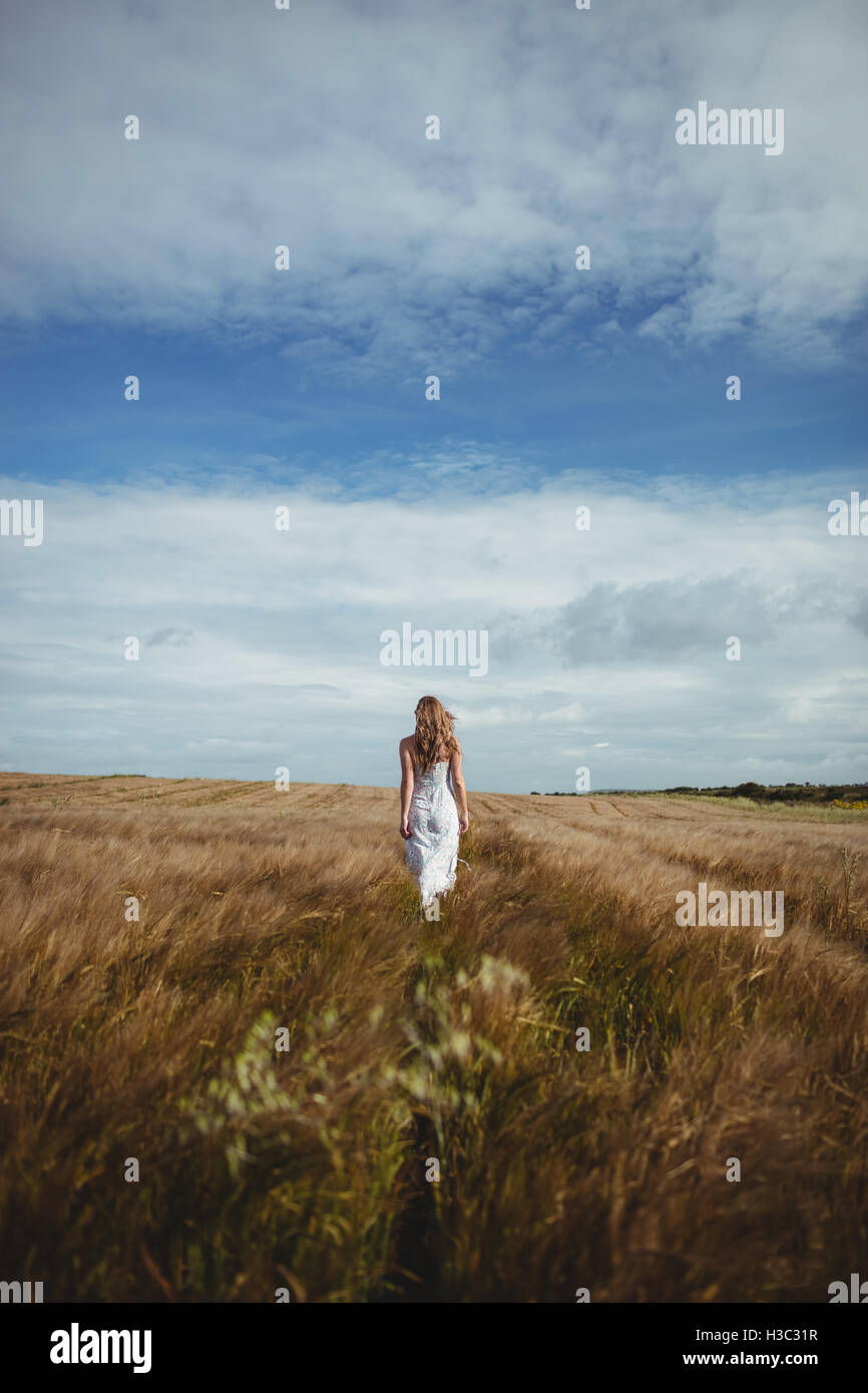 Rückansicht der Frau zu Fuß durch Weizenfeld Stockfoto