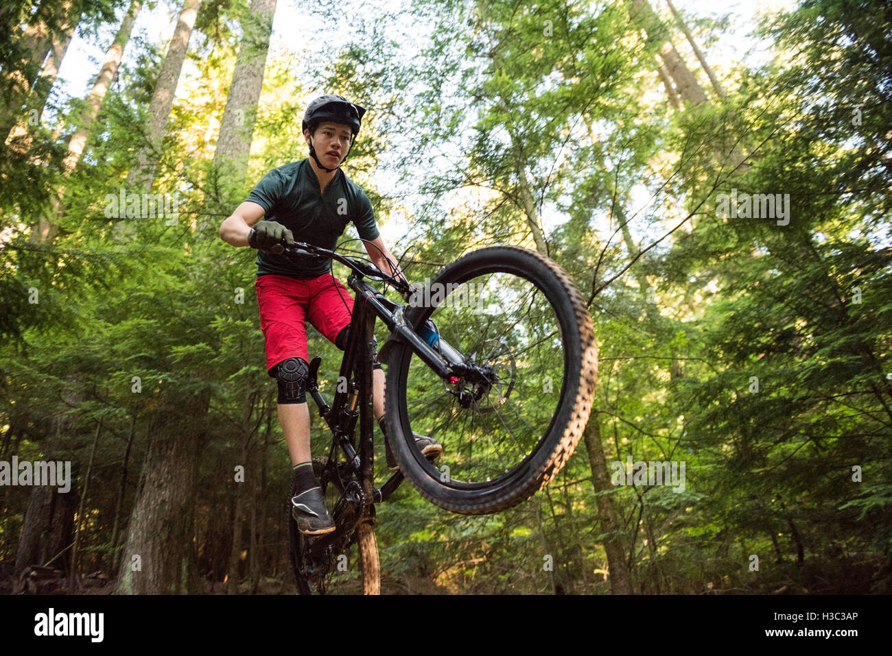 Männliche Radfahrer, Radfahren im Wald Stockfoto