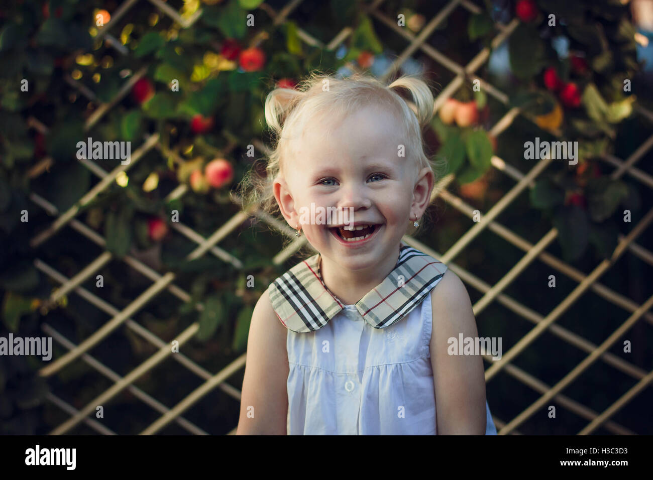 Porträt von einem kleinen Mädchen mit Zöpfen. Emotionen. Lächeln. Äpfel. Stockfoto