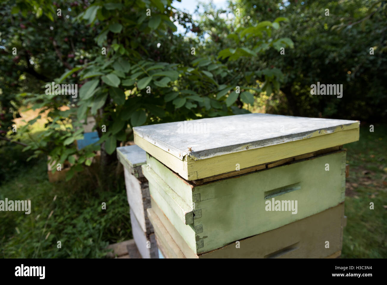 Bienenstock im Bienenhaus Garten Stockfotografie Alamy