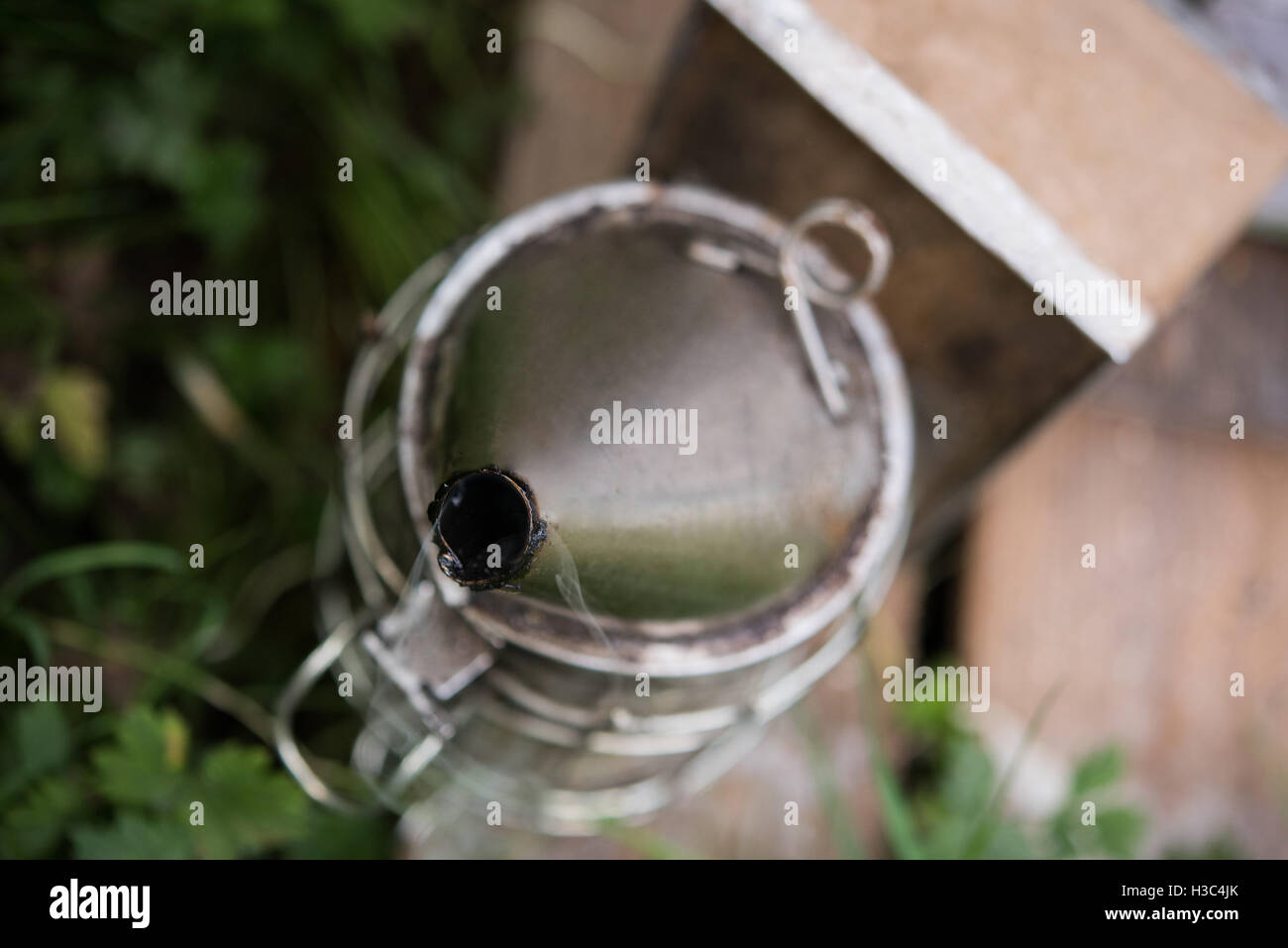 Biene Raucher im Bienenhaus Garten Stockfoto