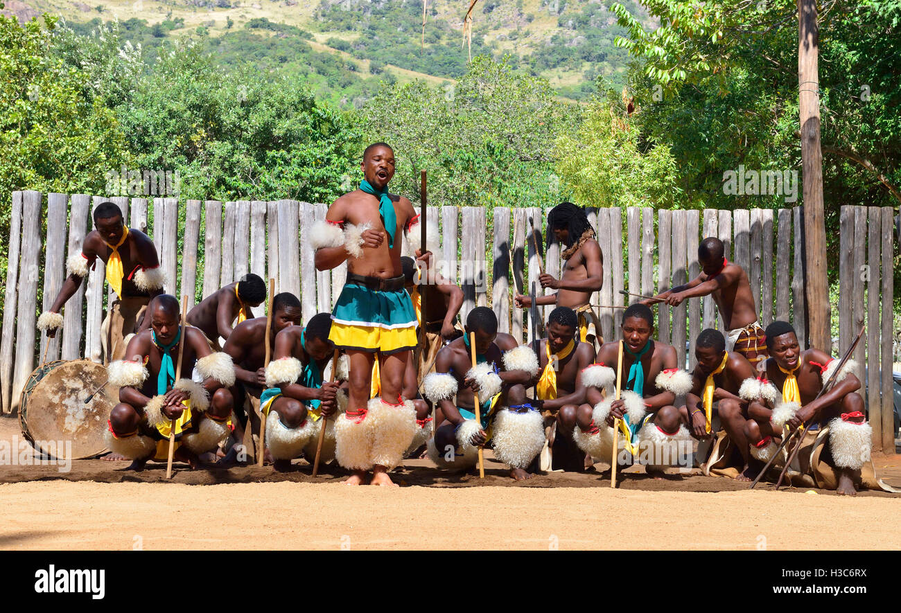 Swazi traditionelle Truppe singen und tanzen im Mantenga Swazi Kulturdorf (Ligugu Lemaswati) Ezulwini Valley, Eswatini (früher Swasiland) Stockfoto