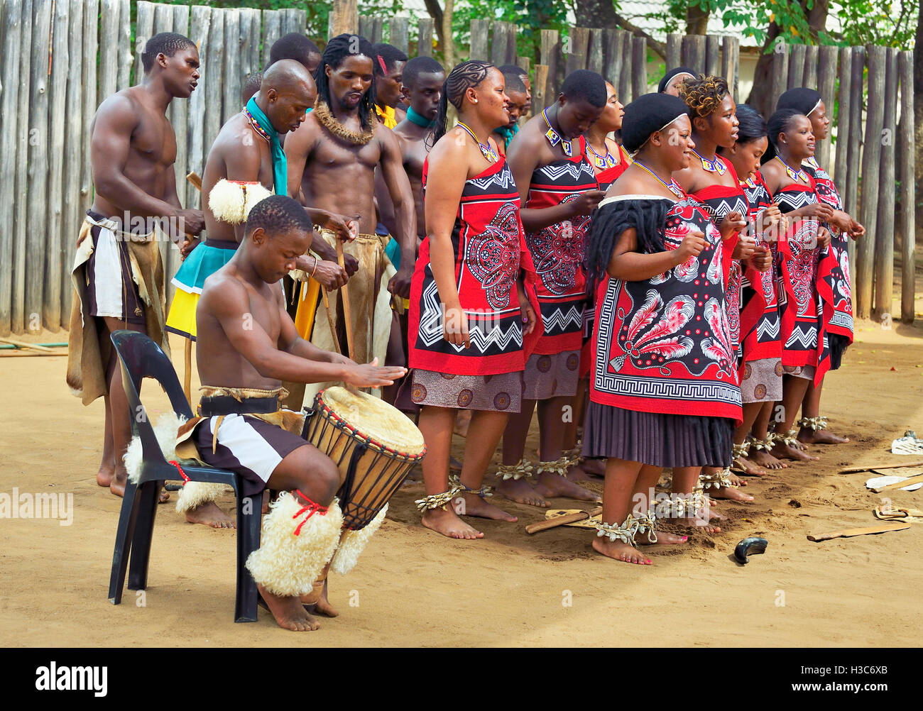 Swazi traditionelle Truppe singen und tanzen im Mantenga Swazi Kulturdorf (Ligugu Lemaswati) Ezulwini Valley, Eswatini (früher Swasiland) Stockfoto