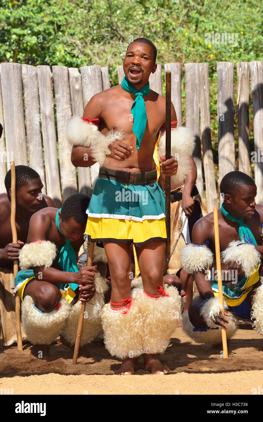 Swazi traditionelle Truppe singen und tanzen im Mantenga Swazi Kulturdorf (Ligugu Lemaswati) Ezulwini Valley, Eswatini (früher Swasiland) Stockfoto