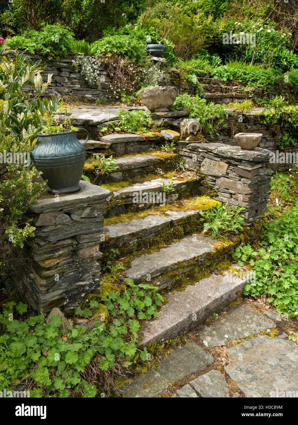 Alten, zugewachsenen, rustikale Steintreppe mit Urne, Colonsay House Gardens, Insel Colonsay, Schottland, Großbritannien. Stockfoto