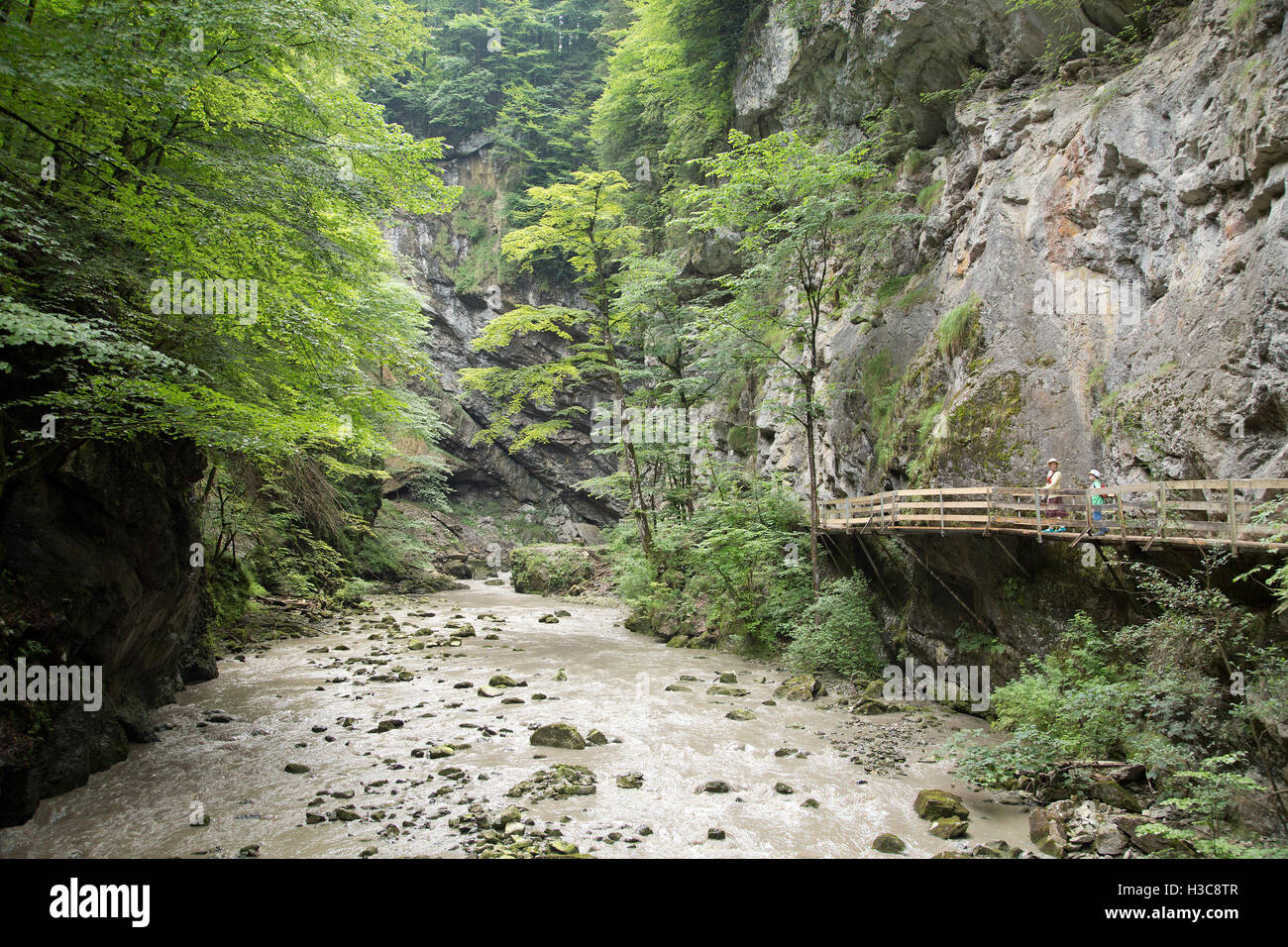 Rappenloch Schlucht, Guetle, Dornbirn, Vorarlberg, Österreich Stockfoto