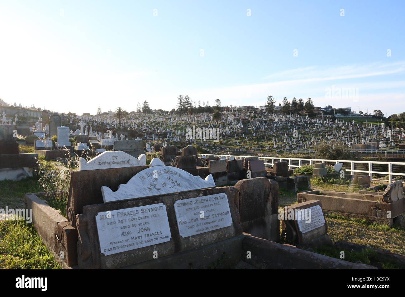 Waverley Cemetery. Stockfoto
