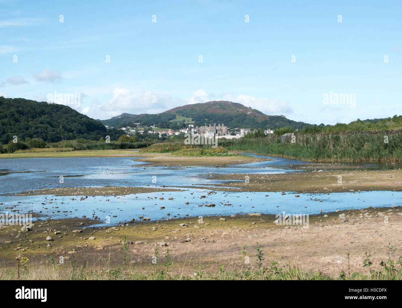 Conwy RSPB Naturschutzgebiet Stockfoto