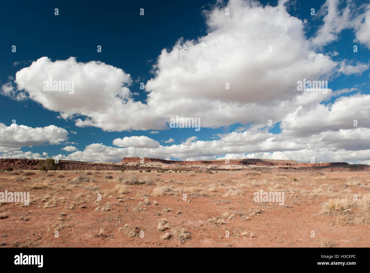 Wüstenlandschaft im New Mexico, USA Stockfoto