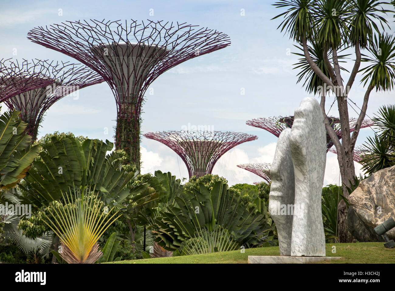 Singapur, Gardens by the Bay, Supertree Grove vertikale Gärten und Palmen des Reisenden Stockfoto