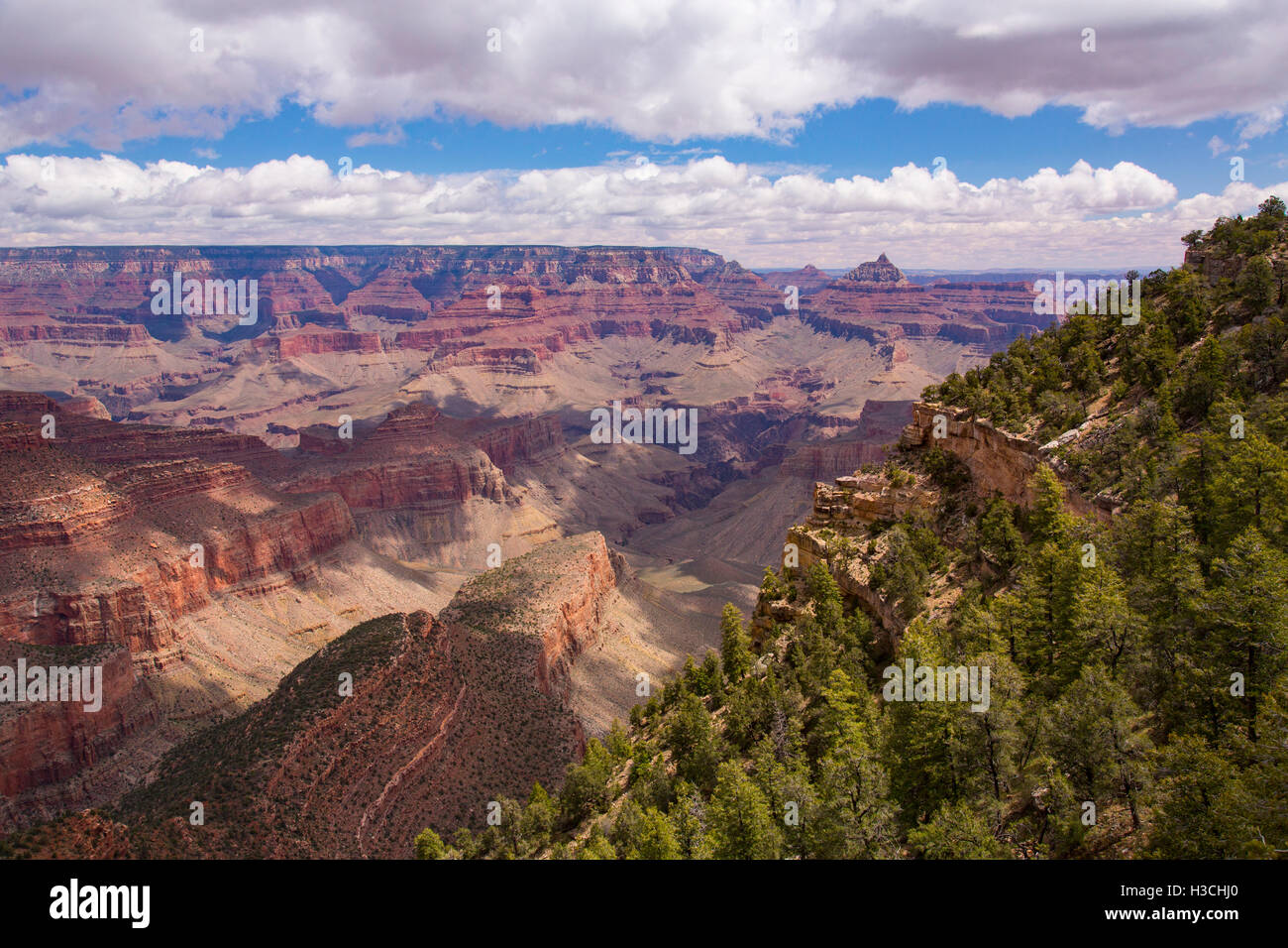 Ente auf einem Felsen. Diese malerischen Aussichtspunkt liegt östlich von Grand Canyon Village zwischen Yaki und Grandview Punkte entlang Desert View Drive o Stockfoto