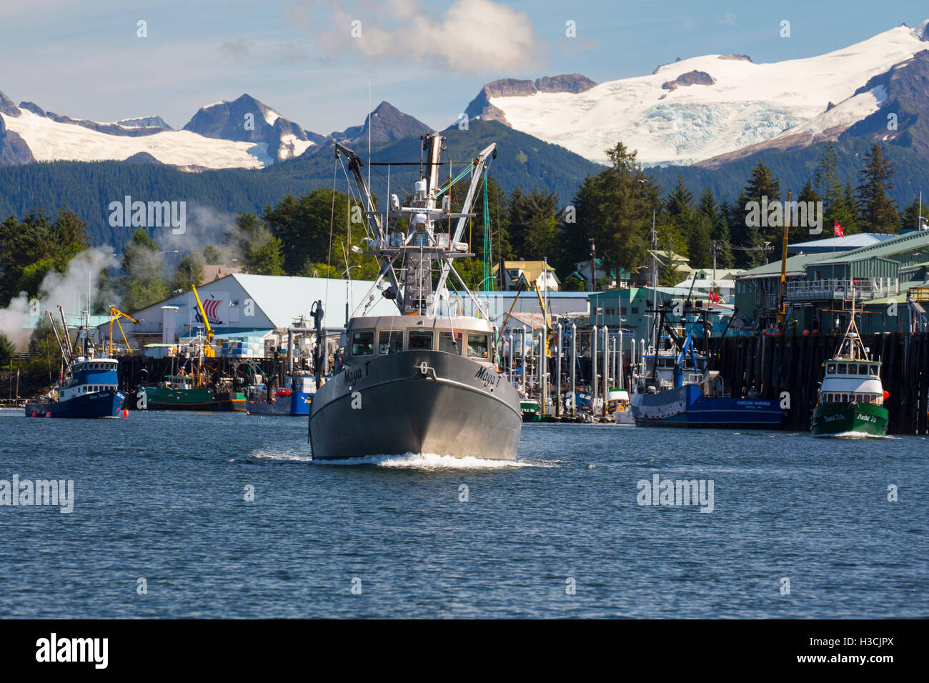 Petersburg, Tongass National Forest, Alaska. Stockfoto