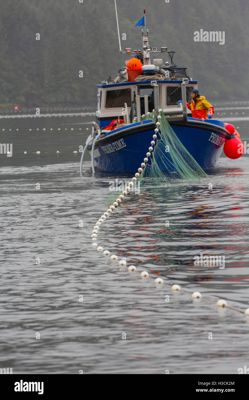Bogen-Picker Angler Boot am NEET Bay, Tongass National Forest, Alaska. Stockfoto