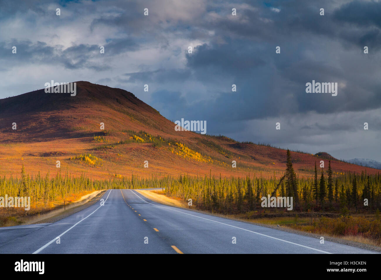 Herbstfarben entlang der Dalton Highway, Alaska. Stockfoto